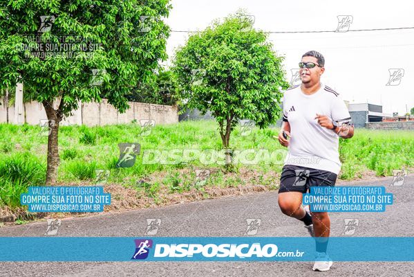 Foto 8043822