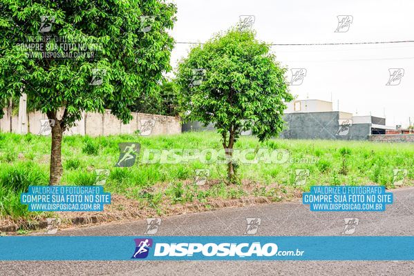 Foto 8043945