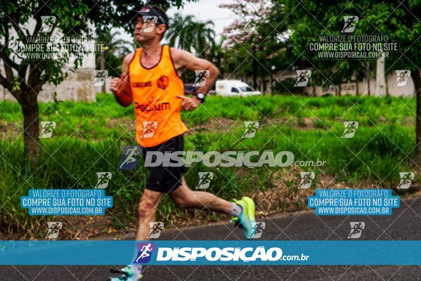 Foto 8042470
