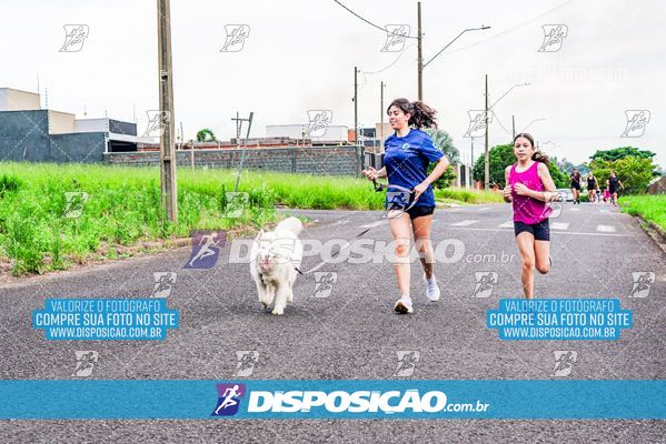 Foto 8043368