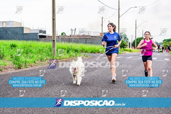 Foto 8043490