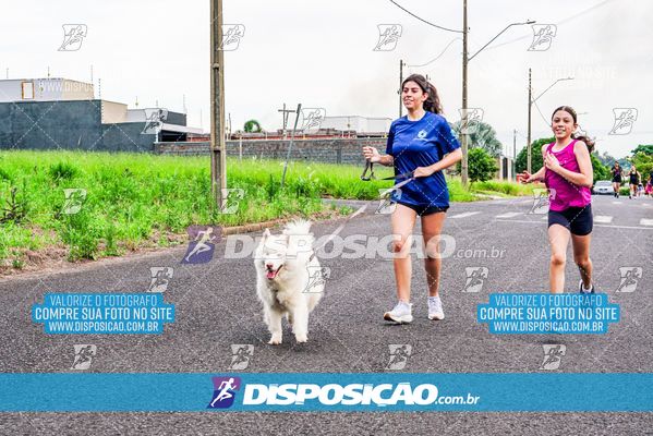Foto 8043391