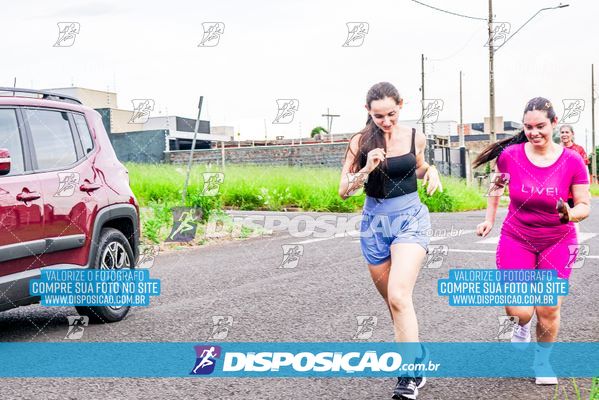 Foto 8042726