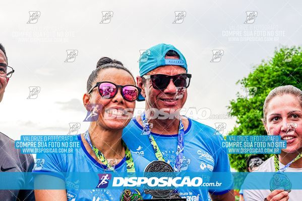 Foto 8043054