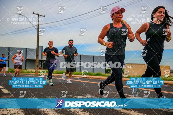 Foto 7986303
