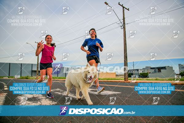 Foto 7992911