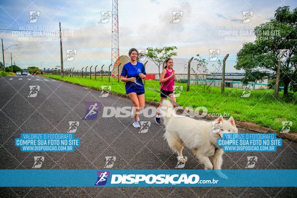 Foto 7994978