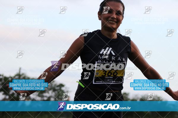 Foto 7986727