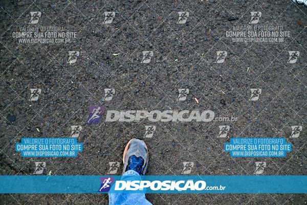 Foto 8033103