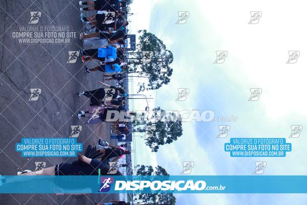 Foto 7935191