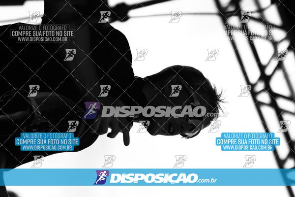 Foto 7935211