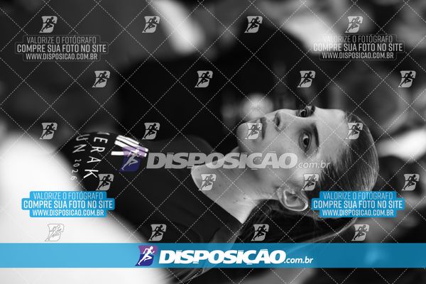 Foto 7935426