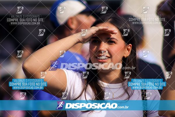 Foto 8003159