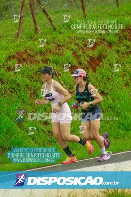 Foto 7953853
