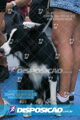 Foto 7980387