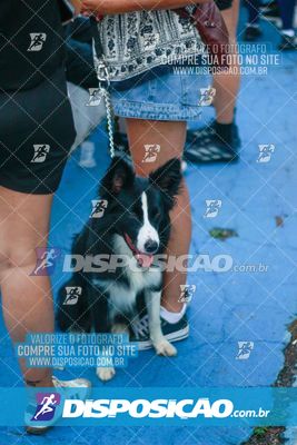 Foto 7982783
