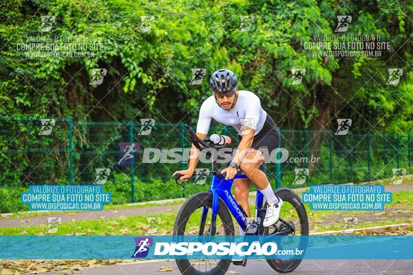 Foto 7933455