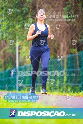 Foto 8053795