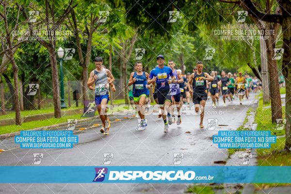 Foto 8079502