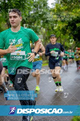 Foto 8079636