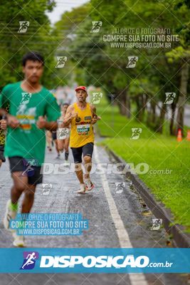 Foto 8079890