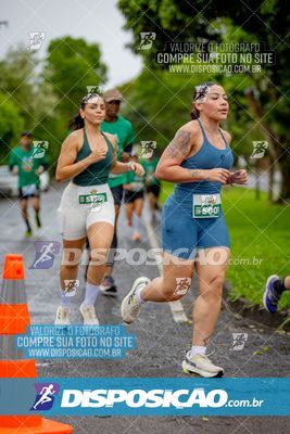 Foto 8080081