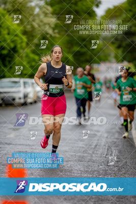 Foto 8080093