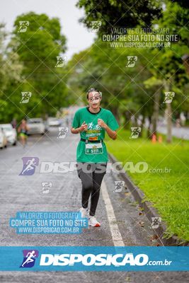 Foto 8080458
