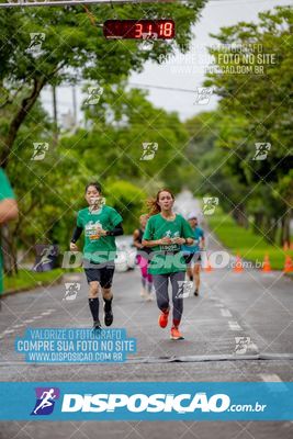 Foto 8085745