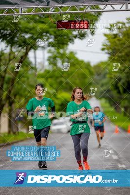 Foto 8085812