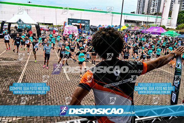 Foto 8097915
