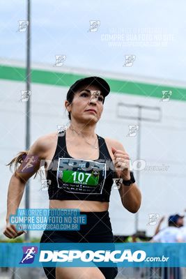 Foto 8073912