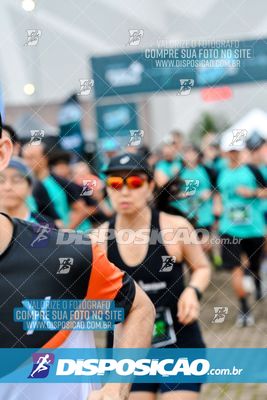 Foto 8074224