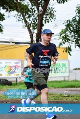 Foto 8054858