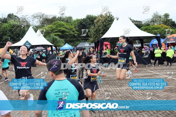 Foto 8070433