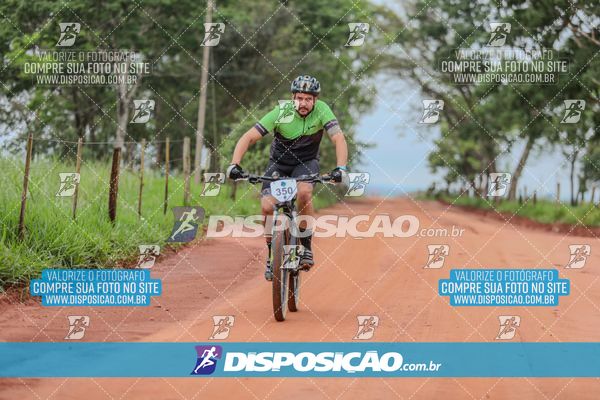 Foto 8101359