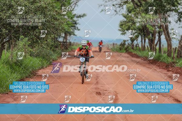 Foto 8101381