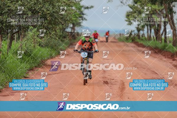 Foto 8101383