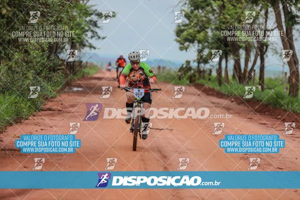 Foto 8101407