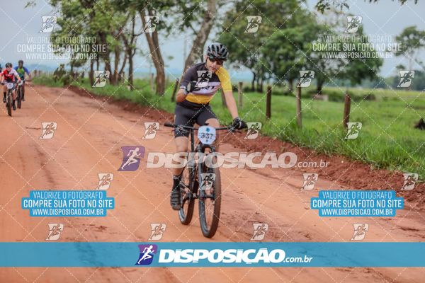 Foto 8101408