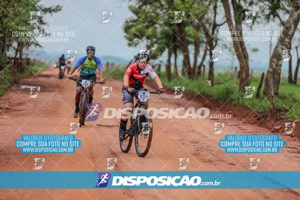 Foto 8101417
