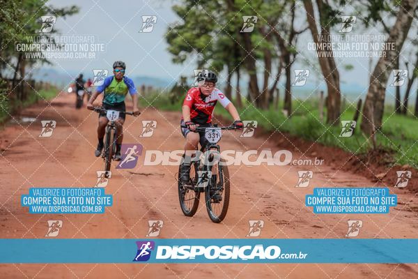 Foto 8101413