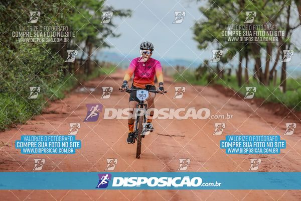 Foto 8101426