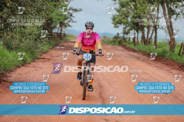 Foto 8101429