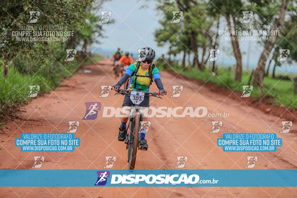 Foto 8101440