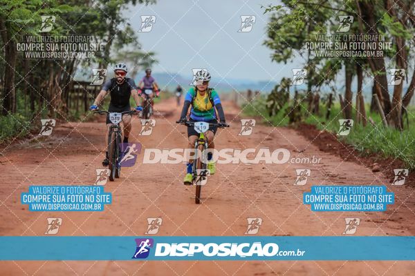 Foto 8101464