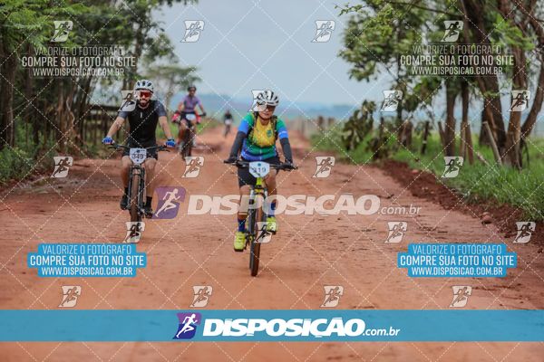 Foto 8101462