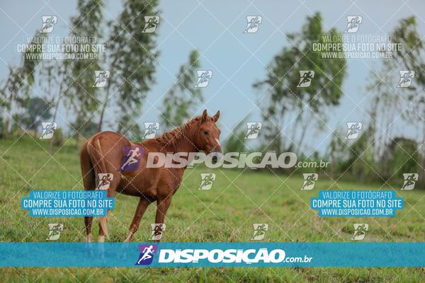 Foto 8101479