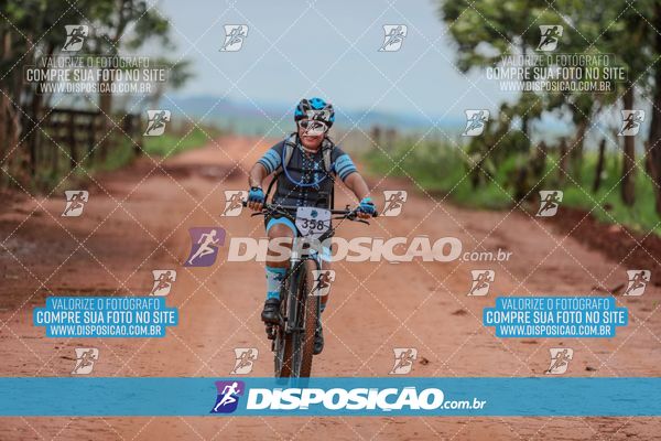 Foto 8101480