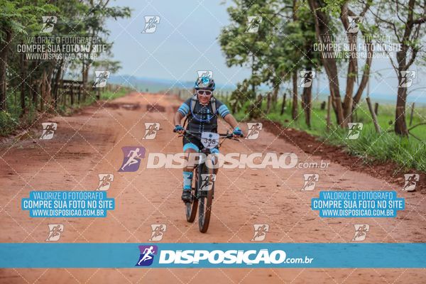 Foto 8101483